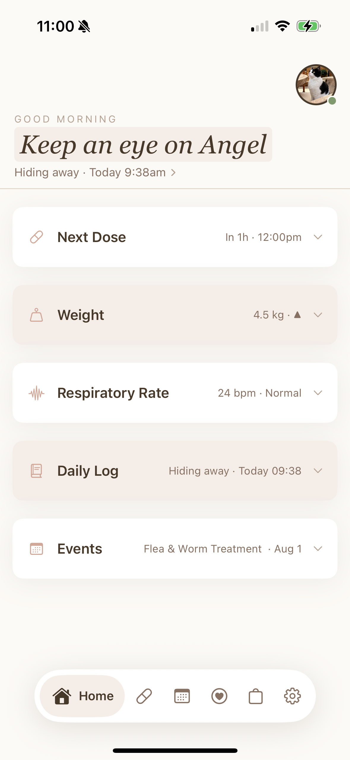 Halo home screen showing Angel's next dose, weight, respiratory rate, daily log and events