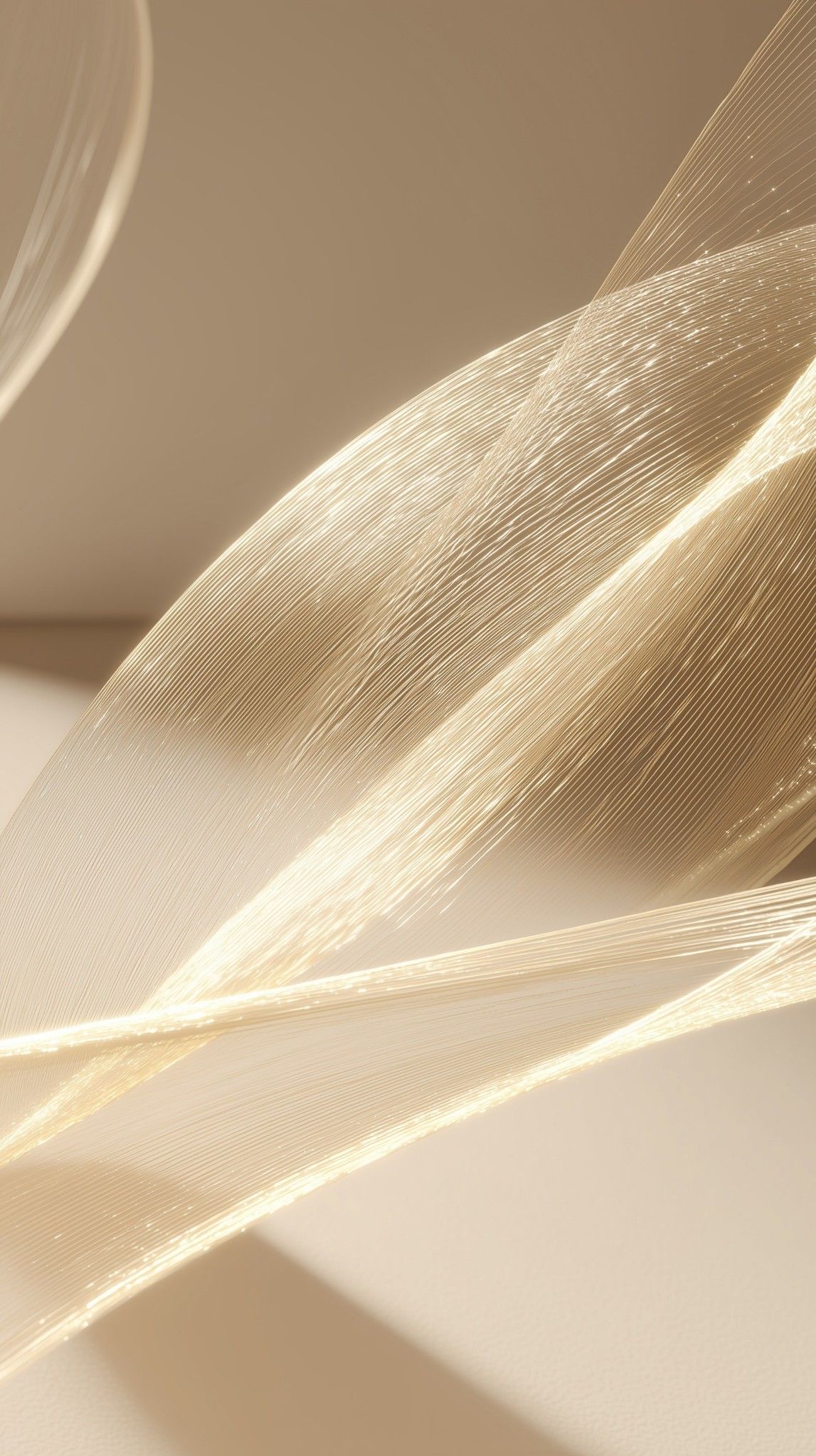 A feather catching the light