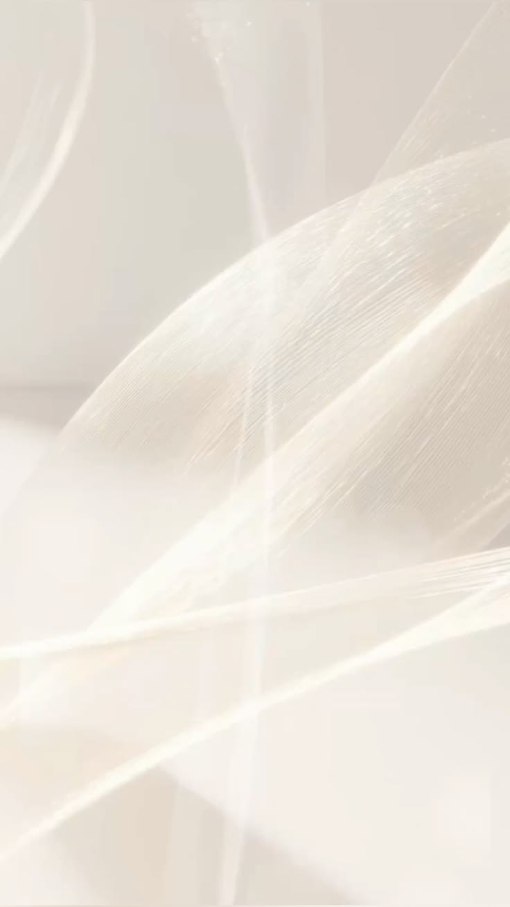 White feather in soft light