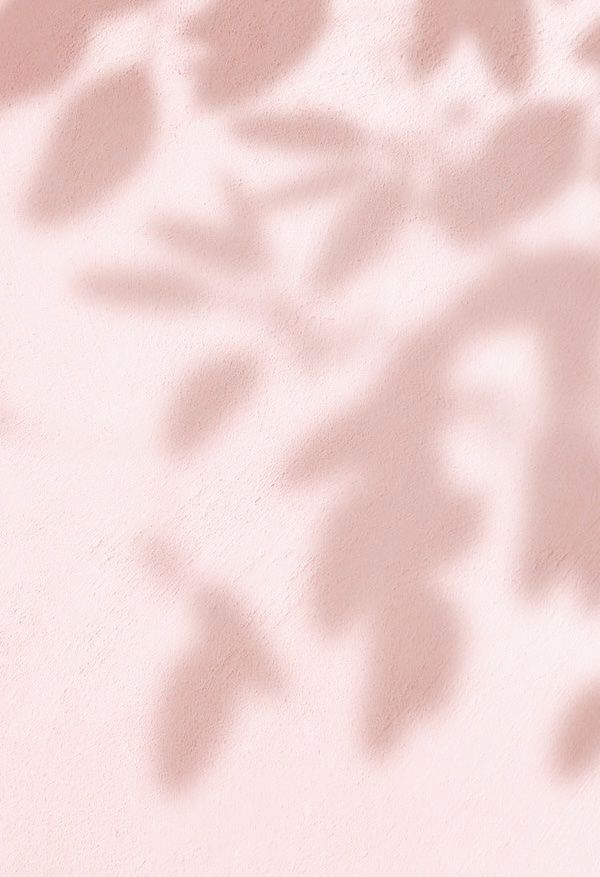 Leaf shadow on a pink wall