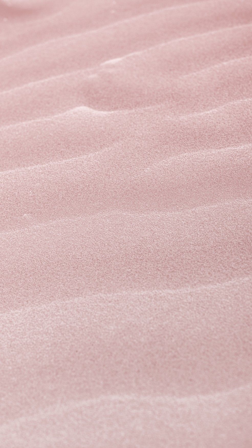 Soft rose texture