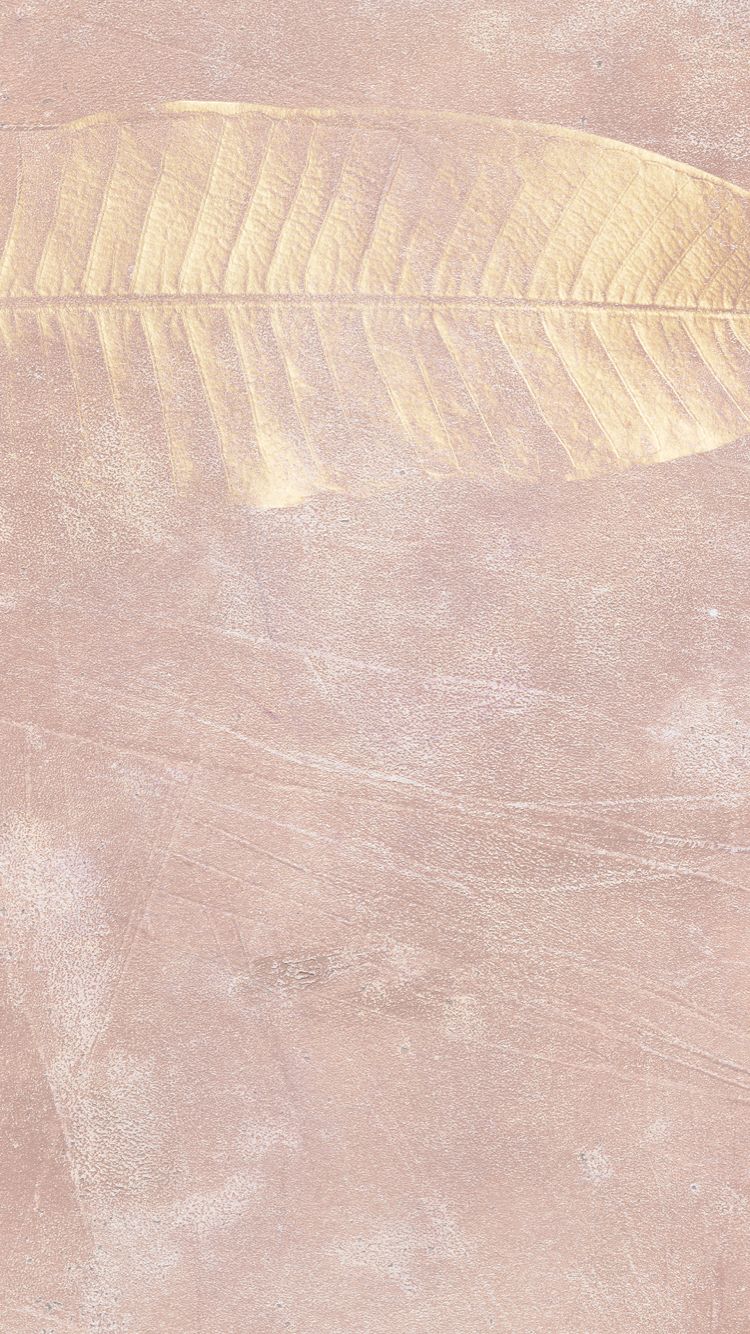Gold leaf on a rose surface