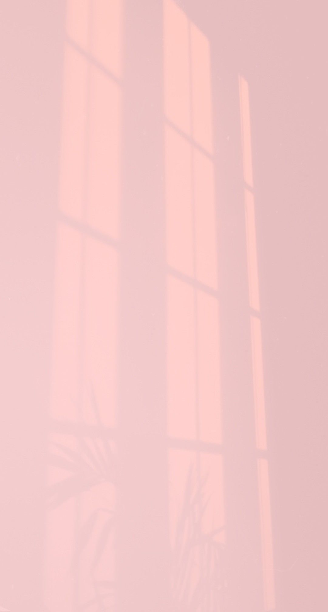 Window shadow on a pink wall