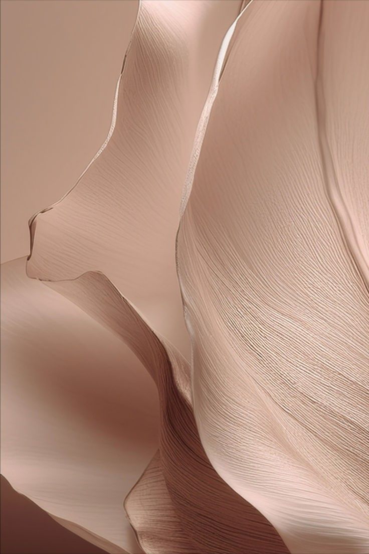 Soft rose texture