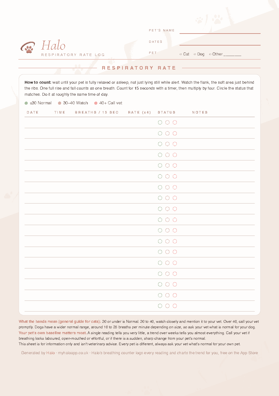 Preview of the Halo resting breathing rate log: a one-page table with date, time, breaths in 15 seconds, rate and status columns